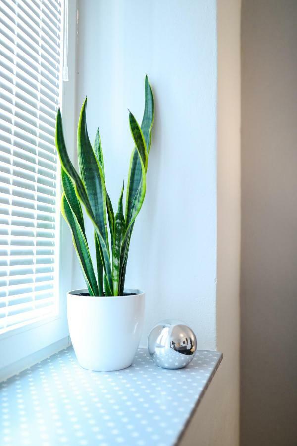 Stomorica Apartament Zadar